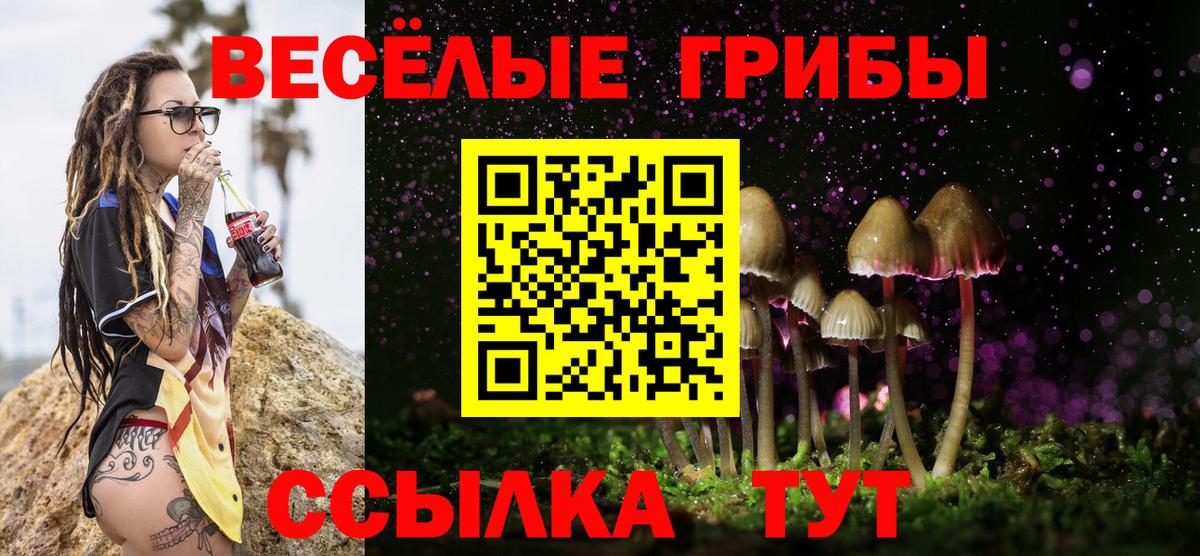 Псилоцибиновые грибы мухоморы Кимры