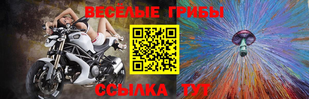 Галлюциногенные грибы Magic Shrooms  Галлюциногенные грибы Psilocybe  Кимры  Вход с VPN 